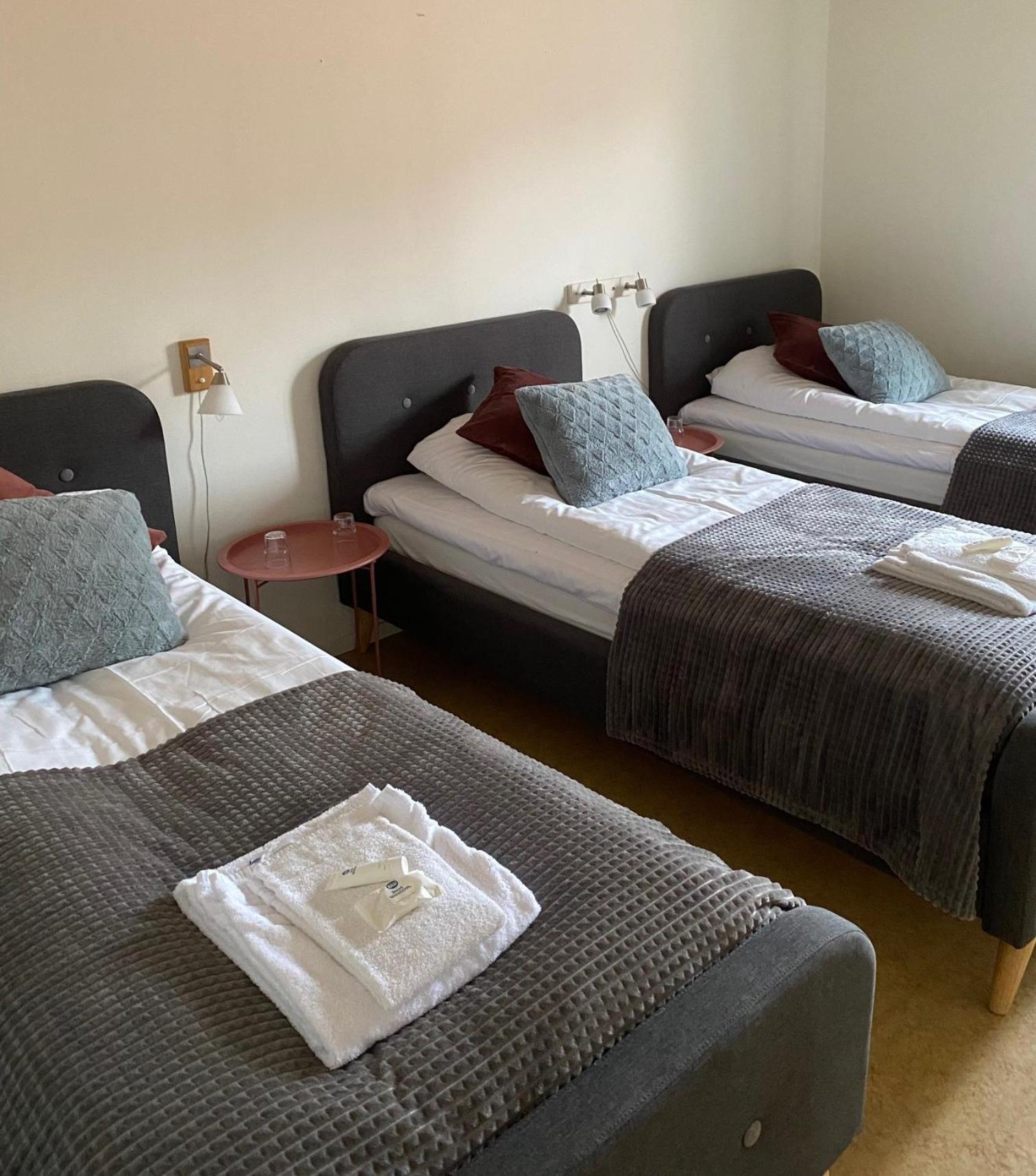 Snoea Bruk Hotell Och Konferens Dala-Jarna المظهر الخارجي الصورة